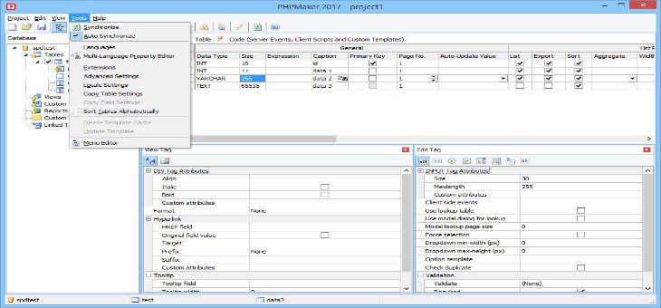 PHPMaker 2024.2 free download