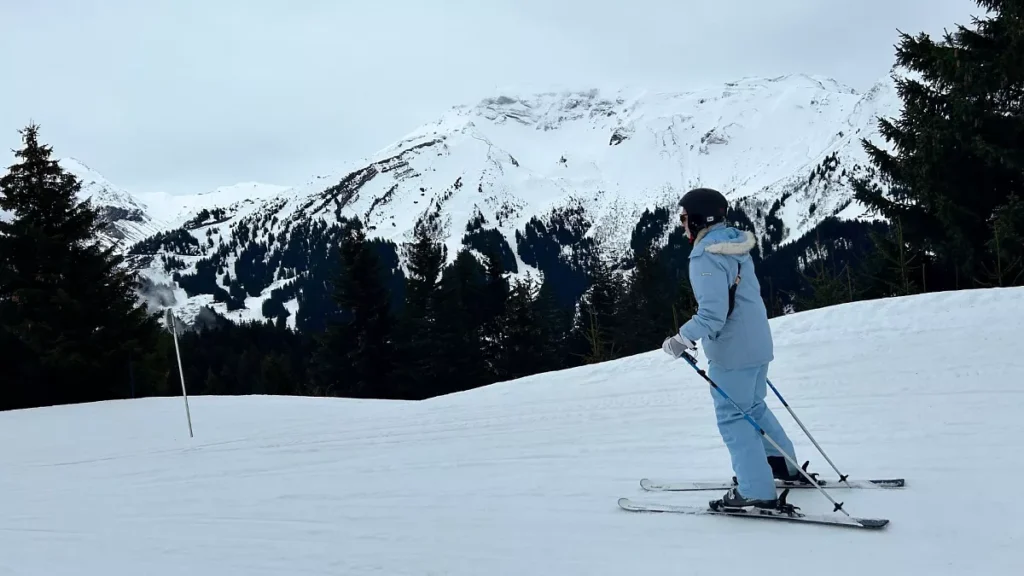 Olahraga Salju Skiing